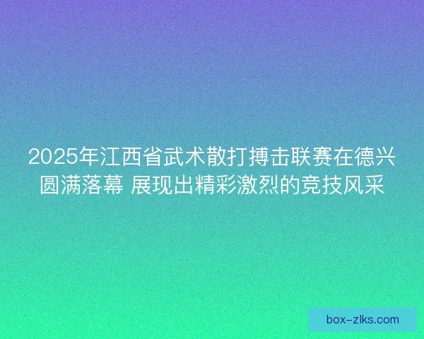 2025年江西省武术散打搏击联赛在德兴圆满落幕 展现出精彩激烈的竞技风采